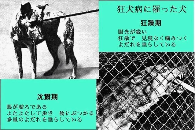 /wp-content/uploads/89a5450d1c26965be7349f5c21b07e3c.jpg.webp
