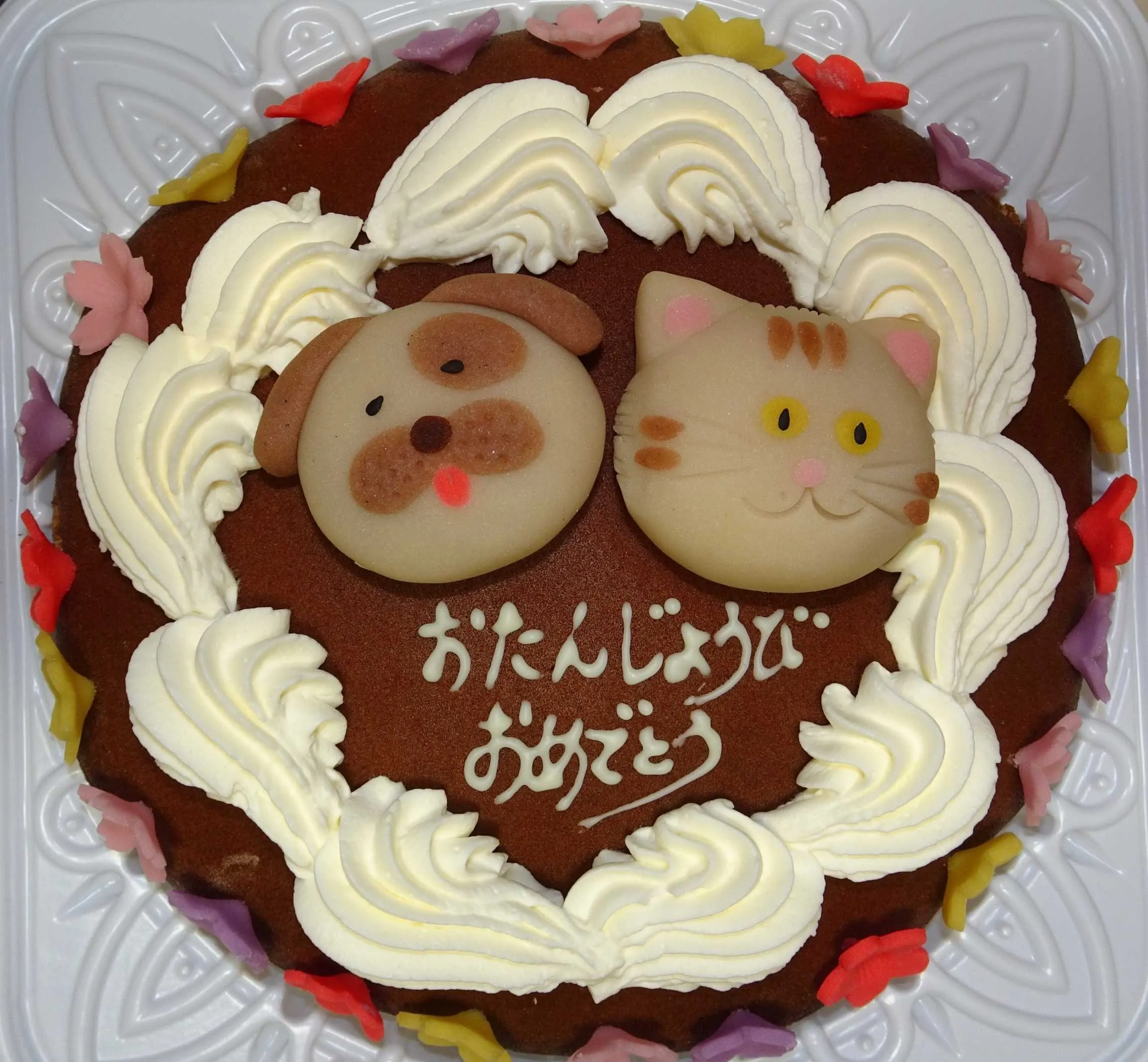 /wp-content/uploads/DSC01484.jpg.webp