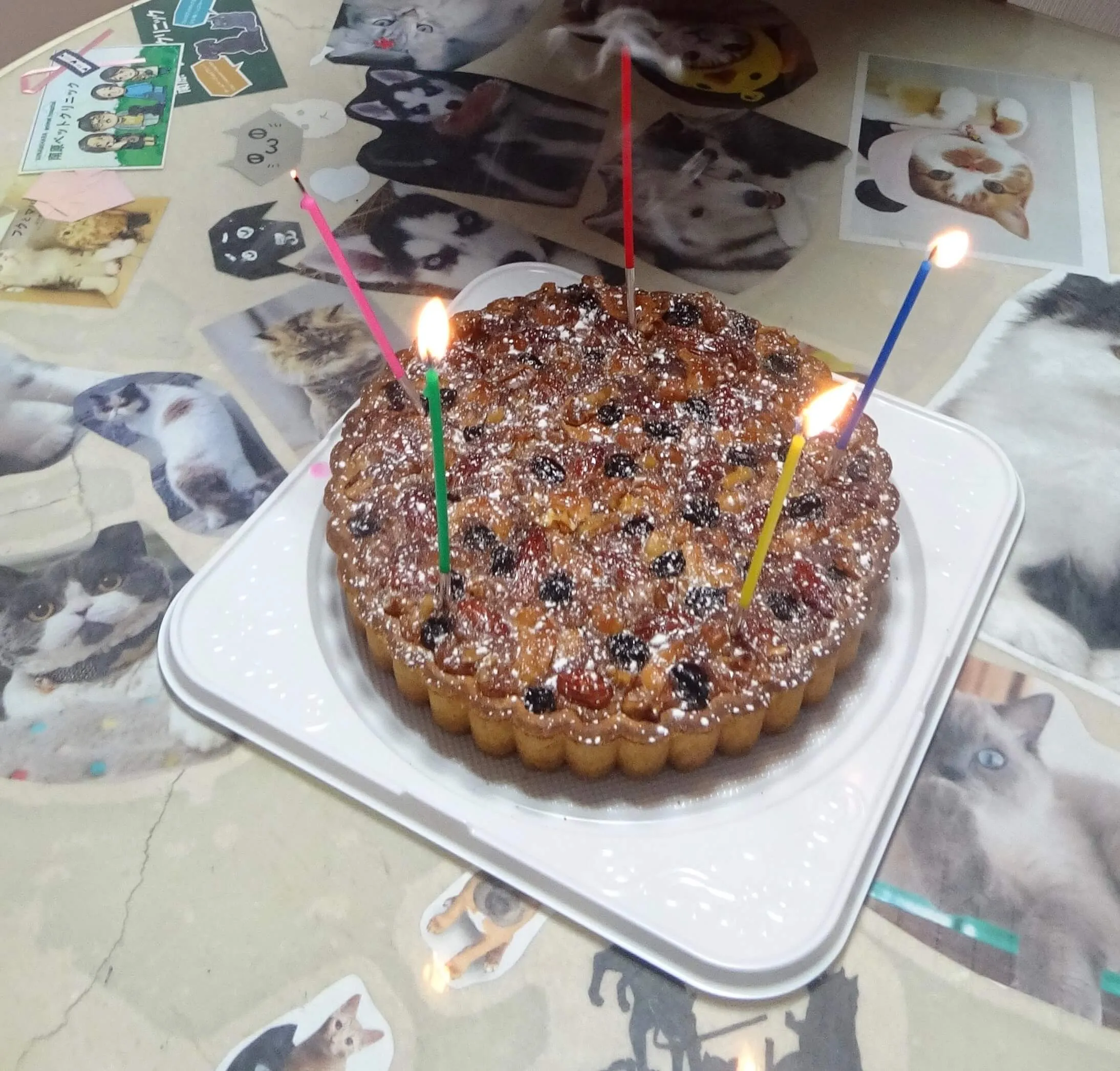 /wp-content/uploads/DSC01929.jpg.webp