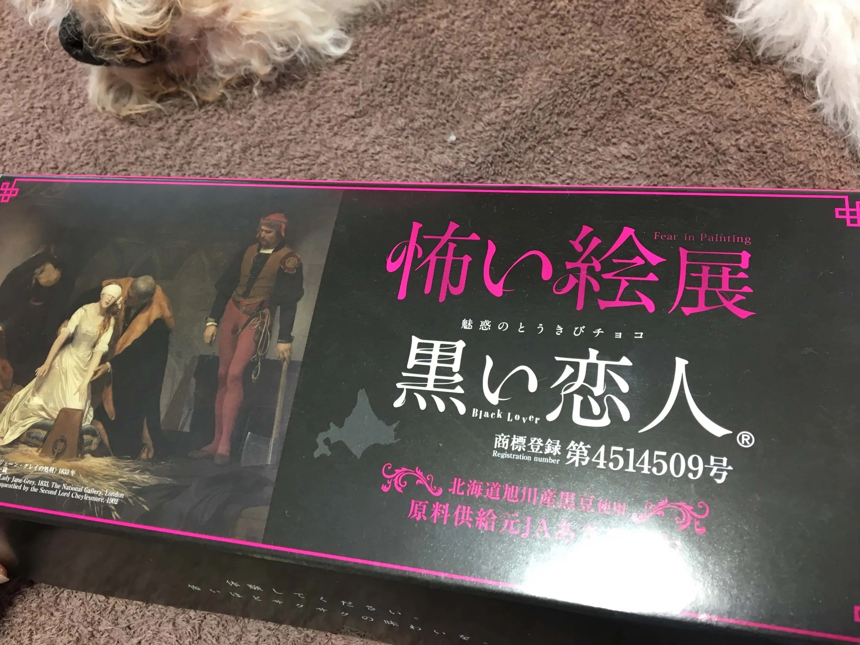 /wp-content/uploads/IMG_4705.jpg.webp