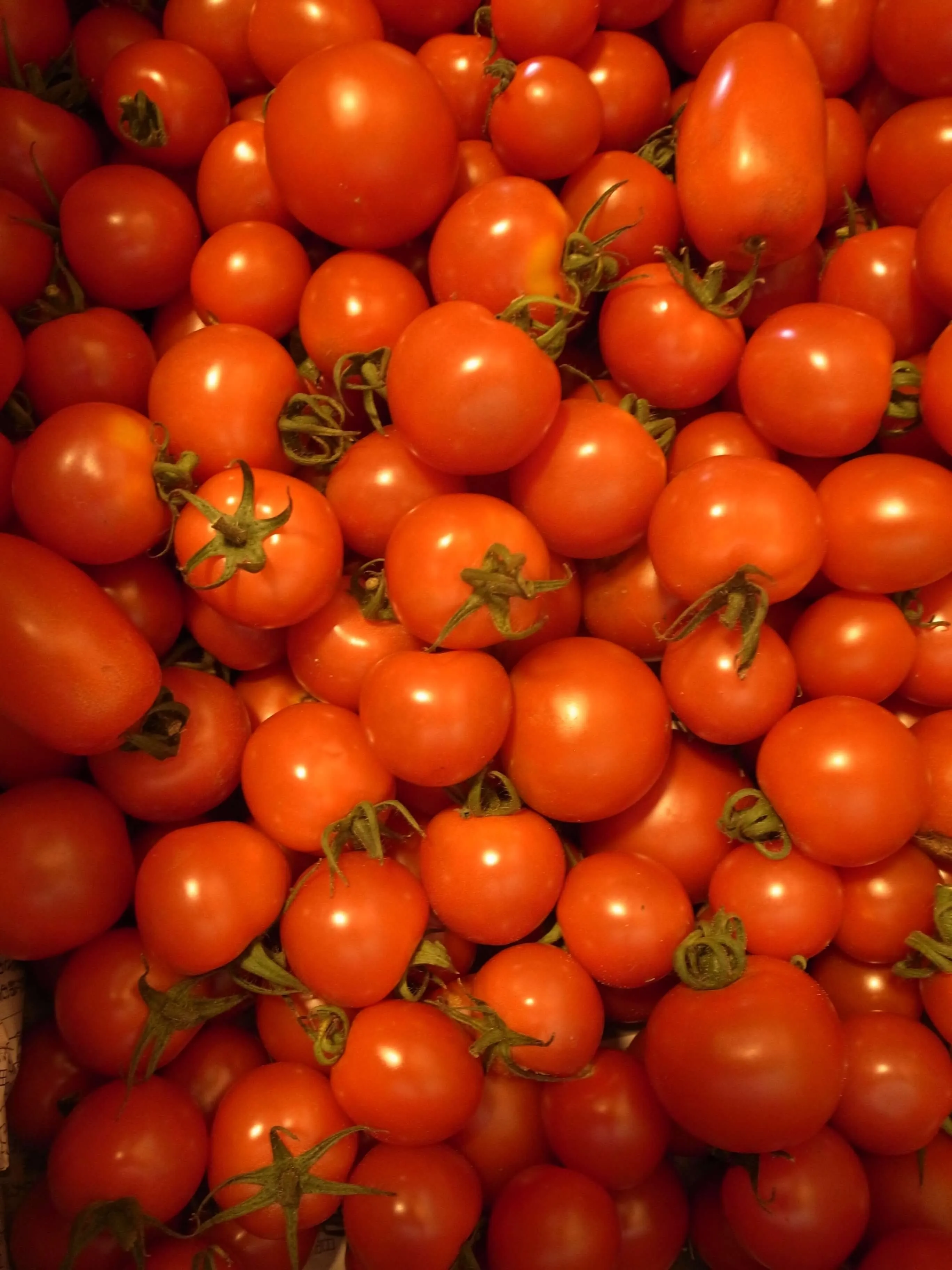 /wp-content/uploads/R0016320.jpg.webp