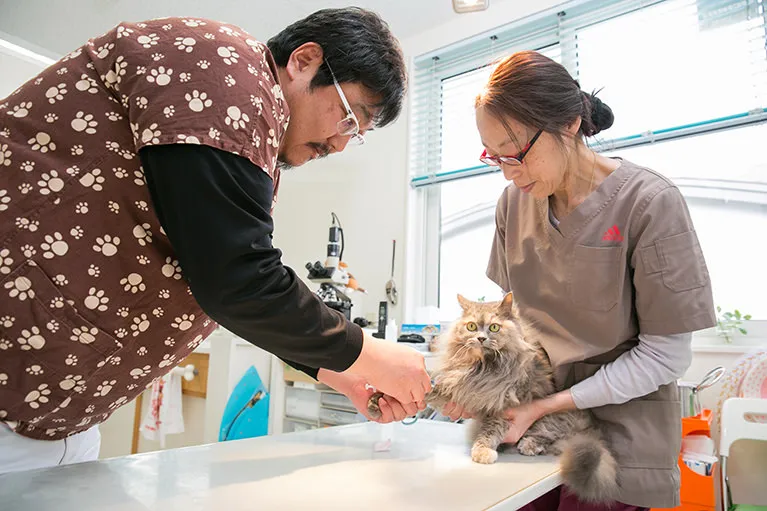 当院での予防接種の取り組み