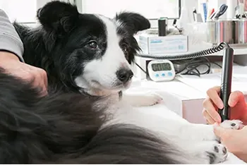 当院の健康診断