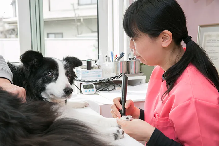 当院の健康診断