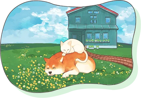 大切なペットを最後まで見守っていくために