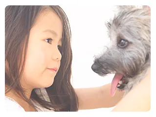 納得いただくまで しっかりと説明