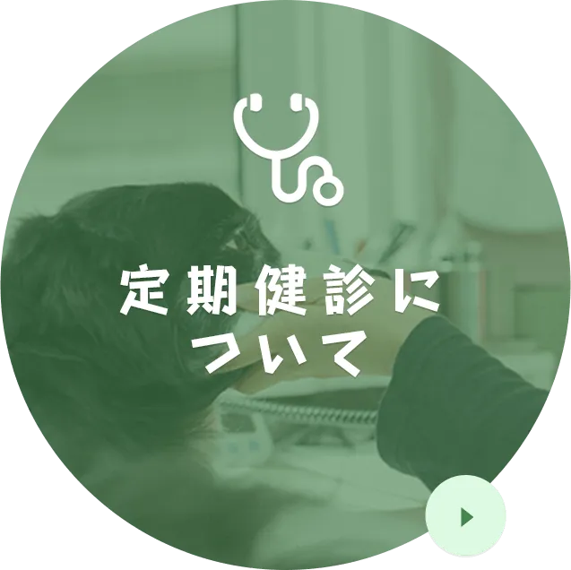 定期健診に ついて
