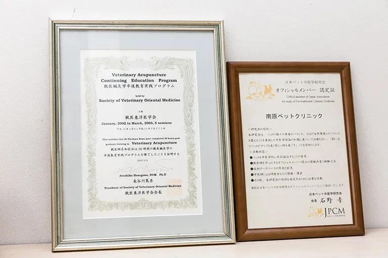 リスクのない安全第一の治療