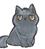 美