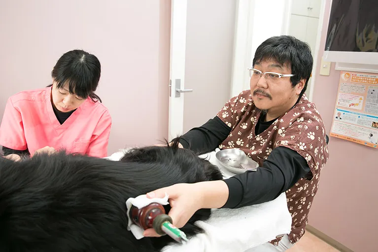 しっかりとした診断でペットにあった適切な治療を